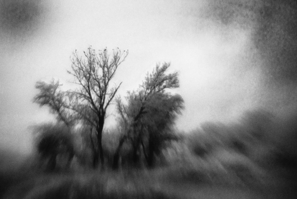 untitledl von Codrin Lupei