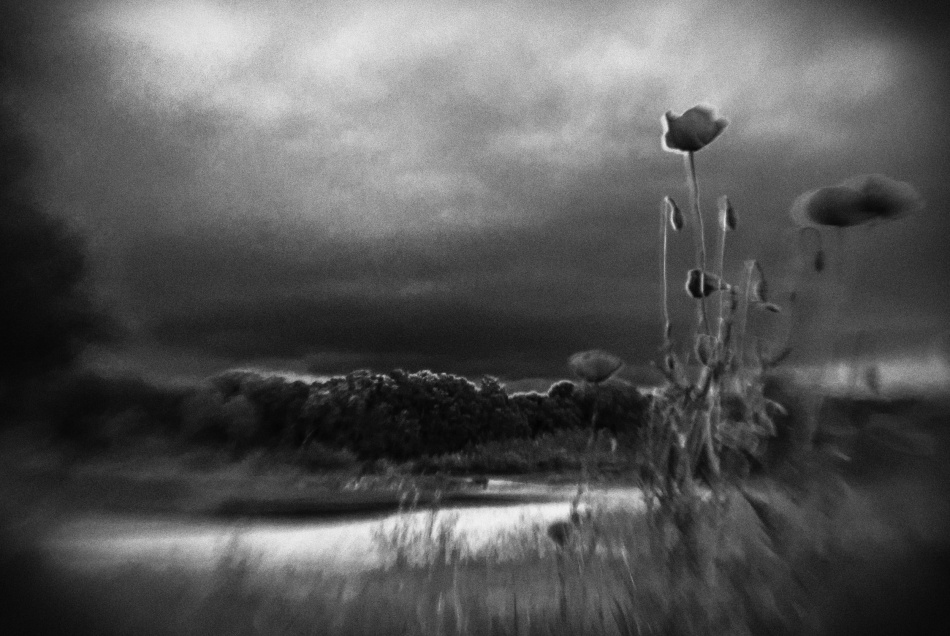 untitledl von Codrin Lupei