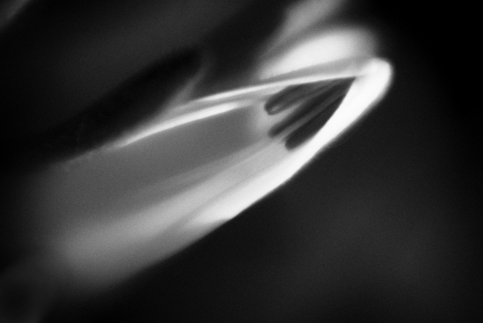 untitledl von Codrin Lupei