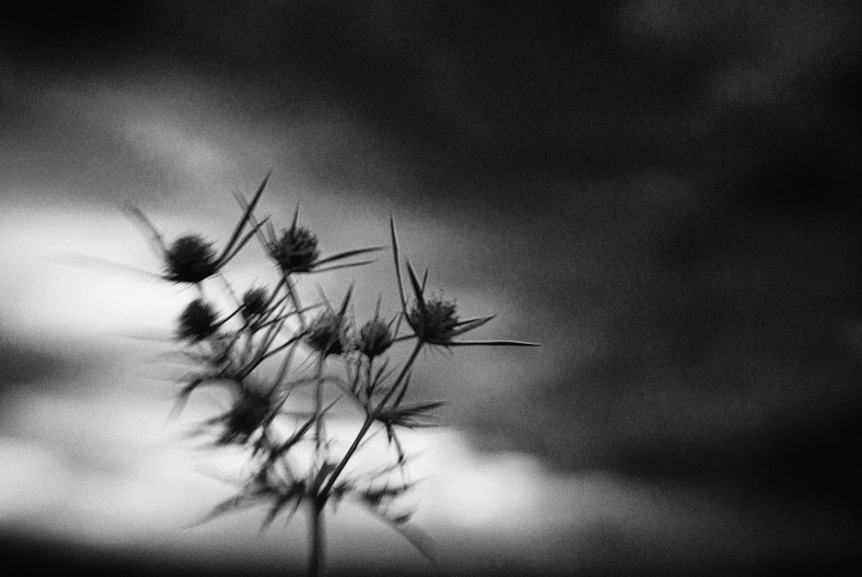 untitledl von Codrin Lupei