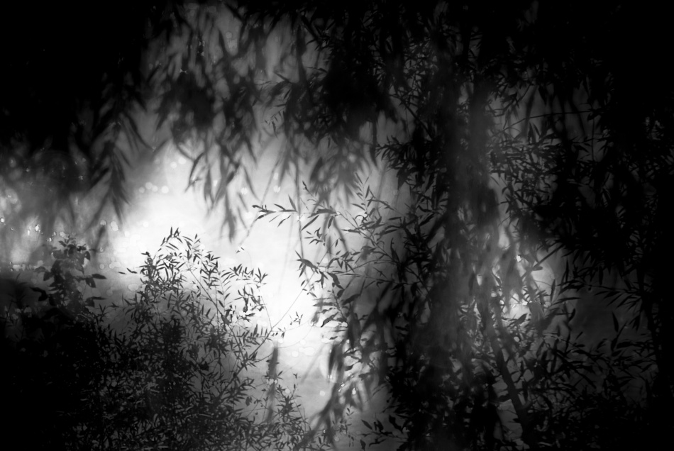 untitledl von Codrin Lupei