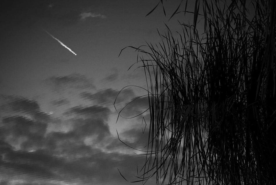 untitledl von Codrin Lupei