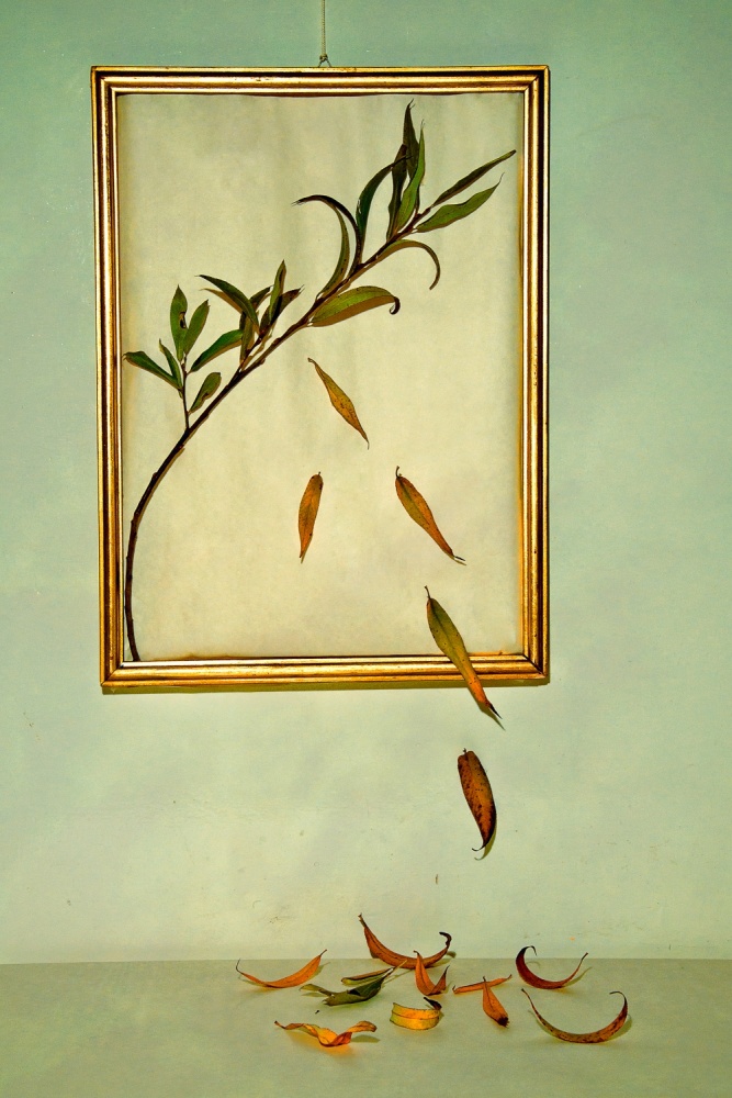 Autumn von Codruta Georgescu