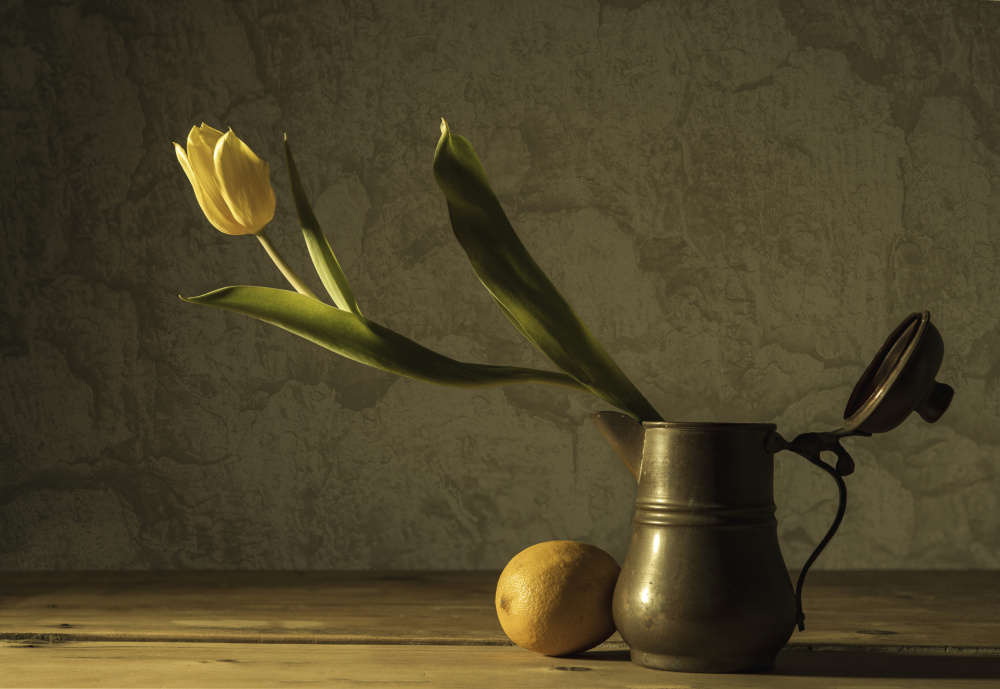 Rusty von Codruta Georgescu