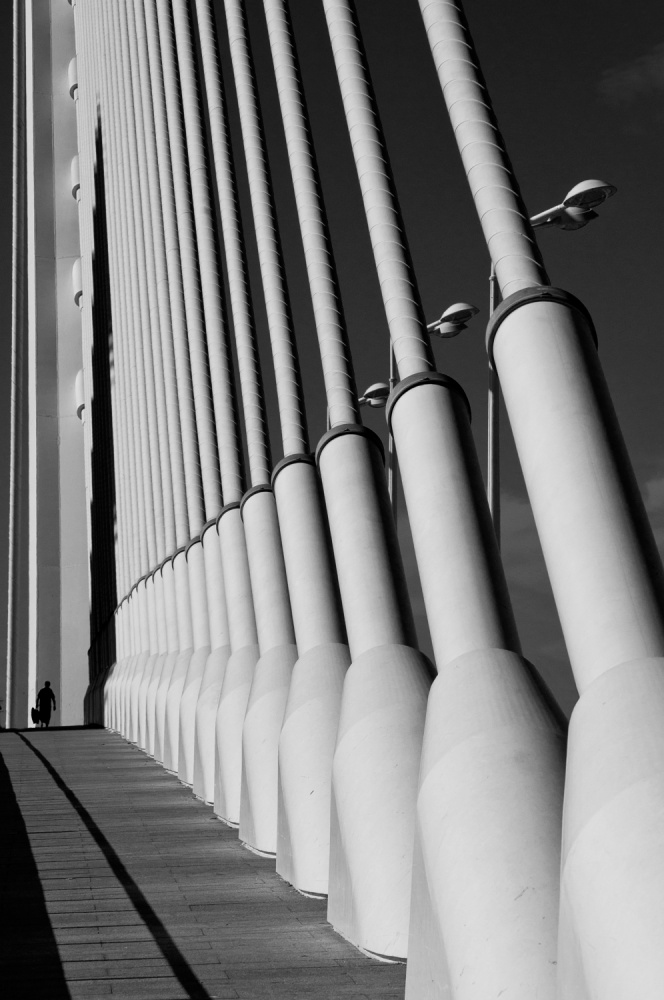 Lost in a big world von Codruta Georgescu