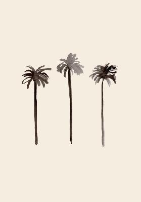 Palm Trees Ink - Graphic Collection
