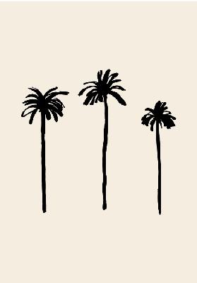 Palm Trees - Graphic Collection