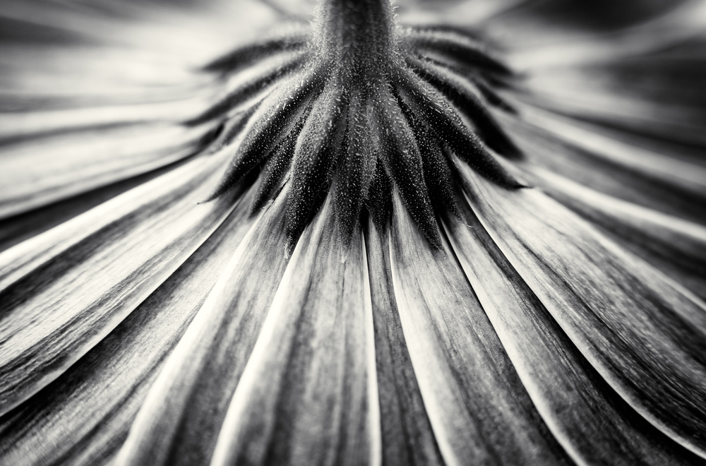 Feeling down von Corinna van der Ven