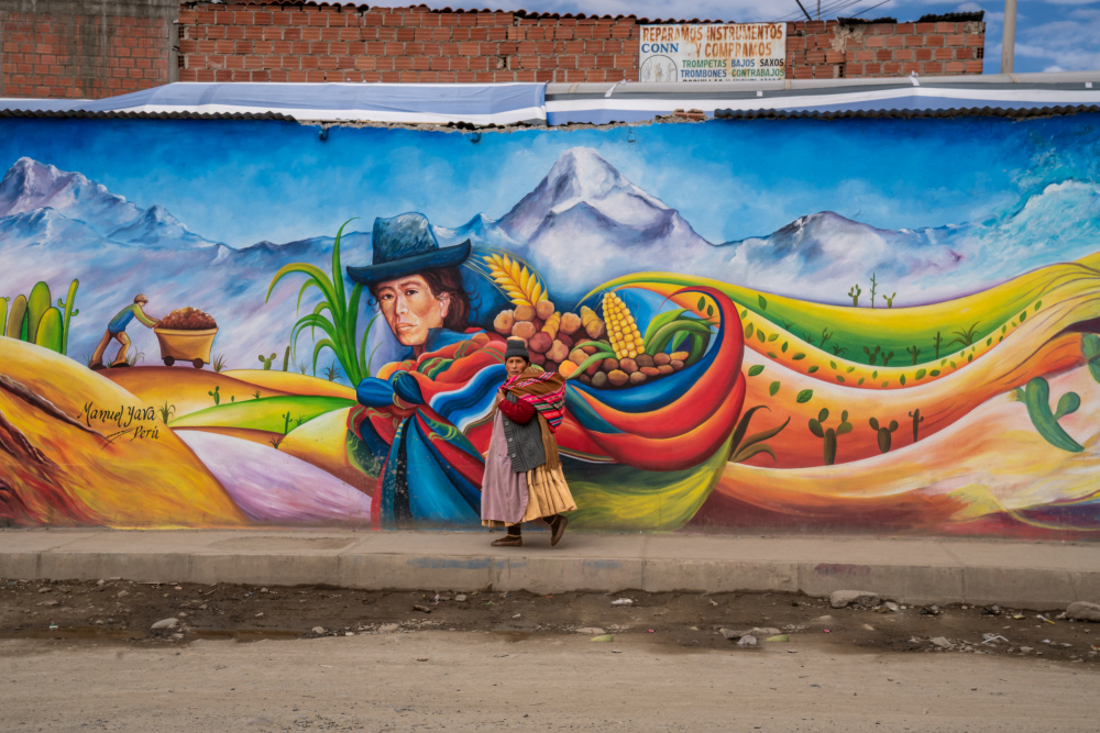 Street in Bolivia von Corinne Spector