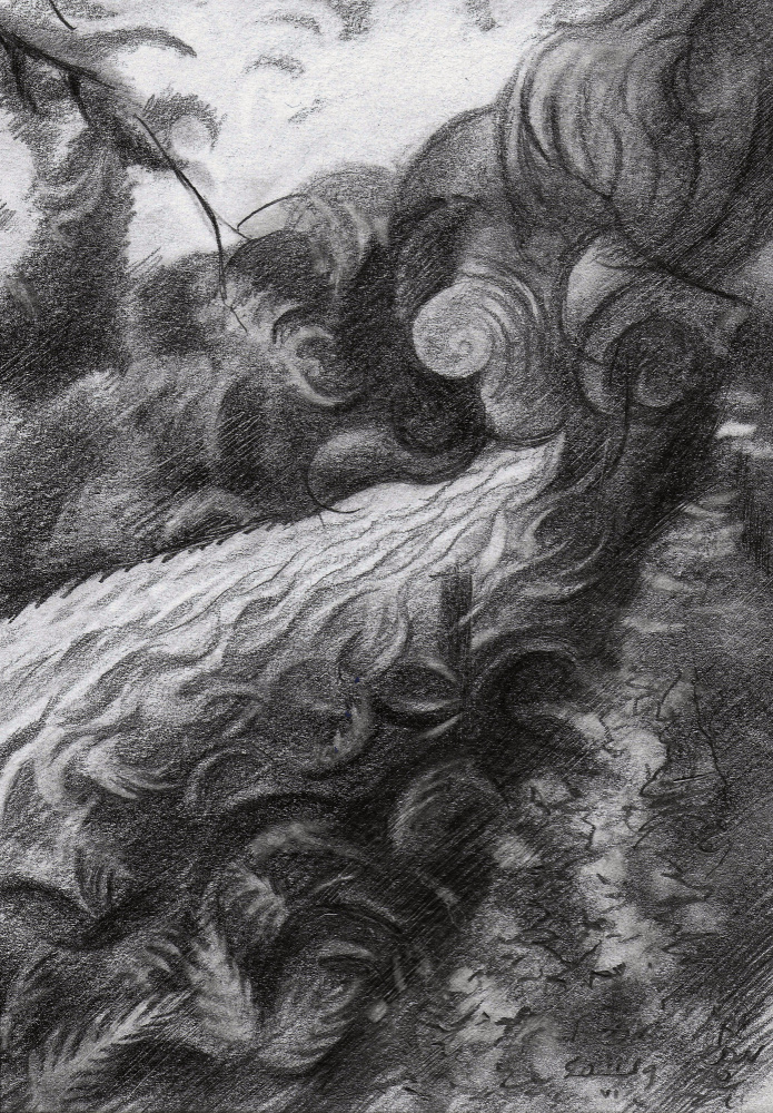 Beek - 11-06-19 von Corné Akkers