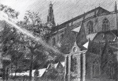 St-Bavo in Haarlem - 03-10-23