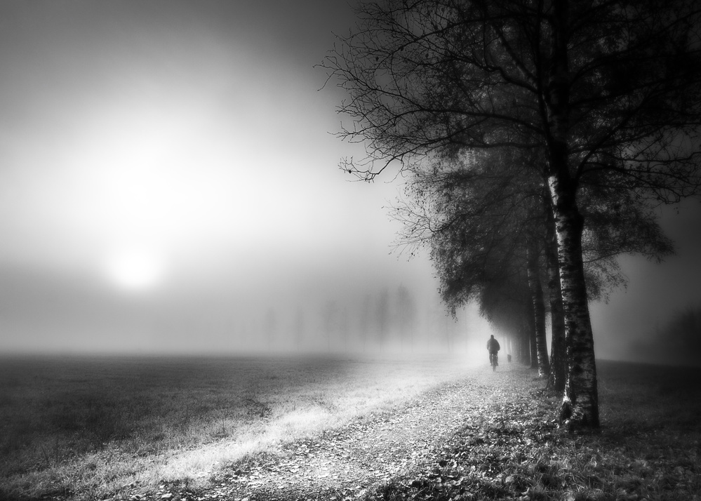 Foggy Morning von Corry DeLaan