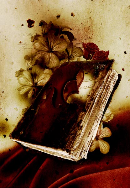 Livre von Chrystelle Coupat