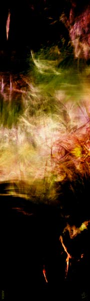 Interpolation von Chrystelle Coupat