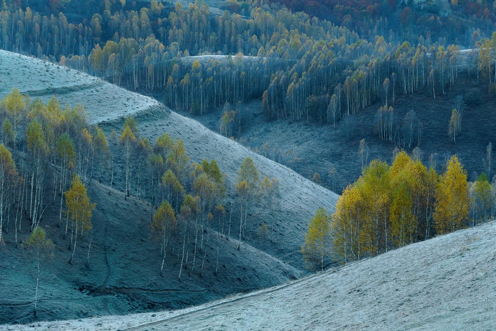 Between fall and winter von Cristi Dadalau