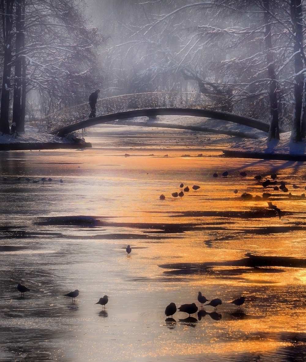 frozen lake von Cristian Andreescu