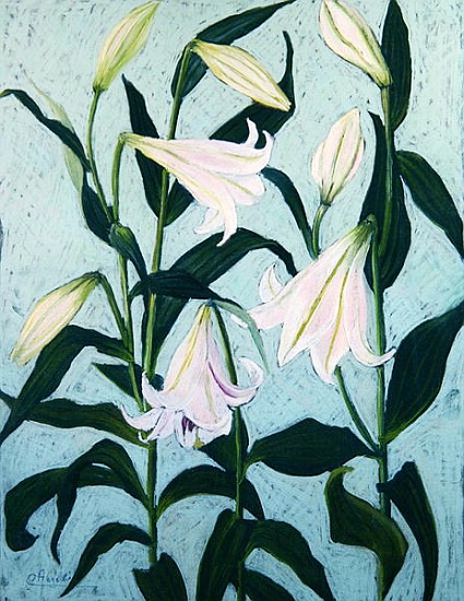 Lilies (pastel on paper)  von Cristiana  Angelini