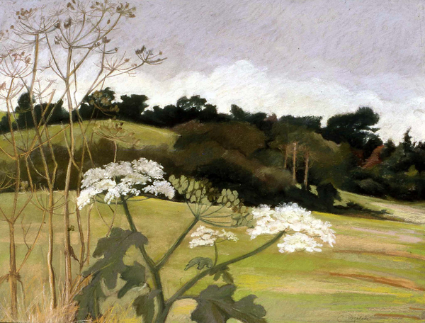 September von Cristiana  Angelini