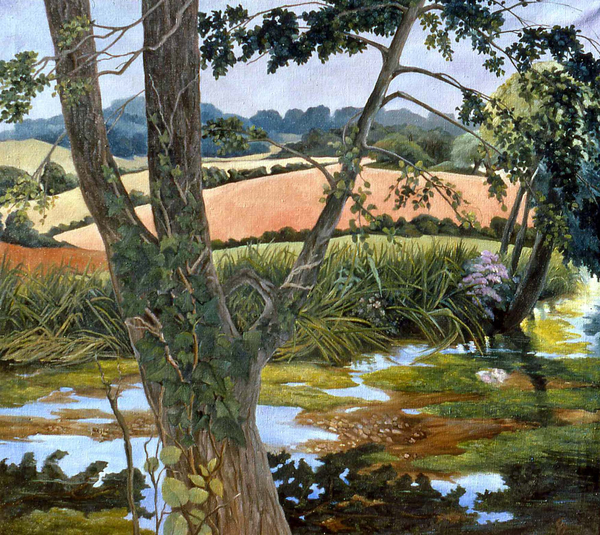 Summer amongst the reeds von Cristiana  Angelini