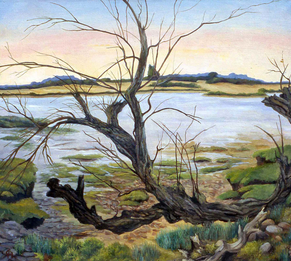 The River Colne von Cristiana  Angelini