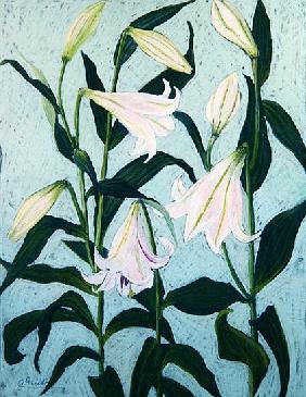 Lilies (pastel on paper) 