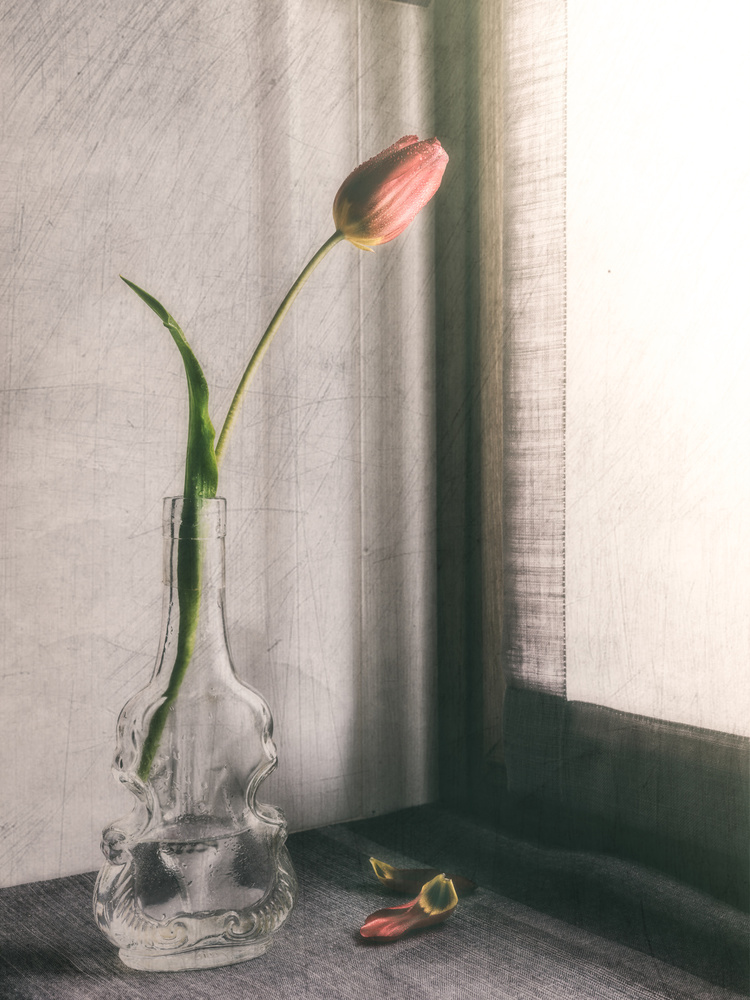 Melanchonic mood von Cristiano Giani