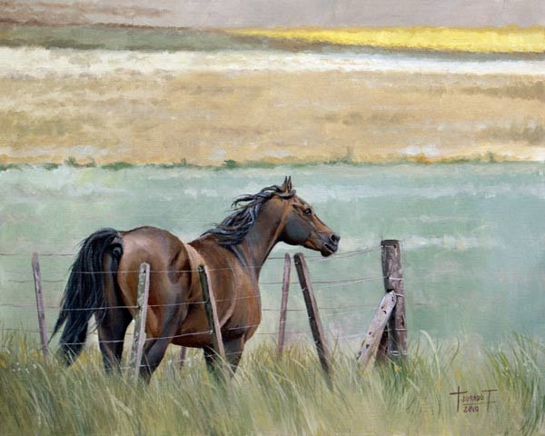 Dreams of Freedom von  Cruz  Jurado Traverso