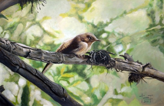 House Wren, the Harmonious Singing von  Cruz  Jurado Traverso