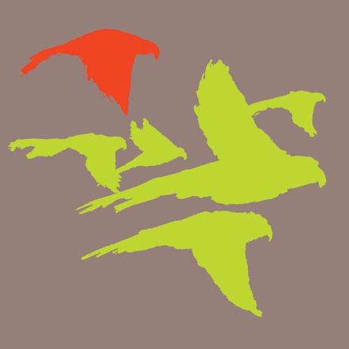 Red Parrot von Louise Cunningham