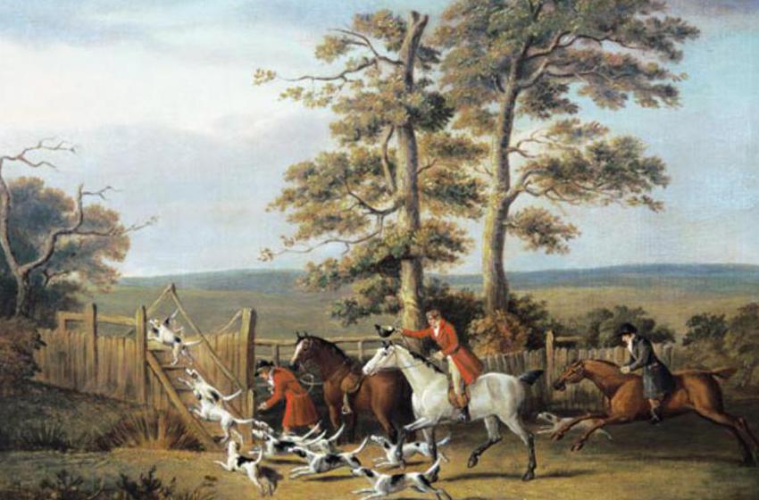 D. the Younger Wolstenholme