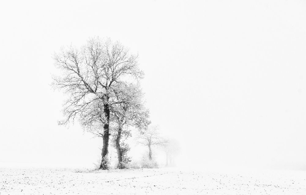 Kleine Welt von daan meeusen