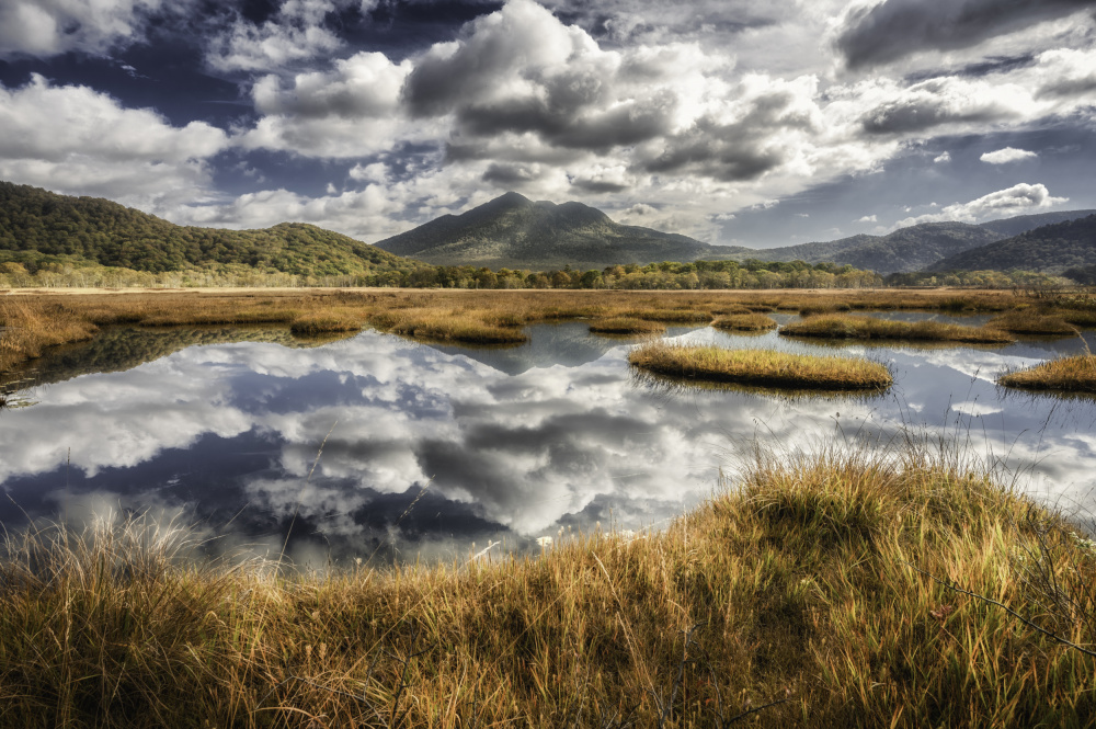 The eden von Daiki Suzuki