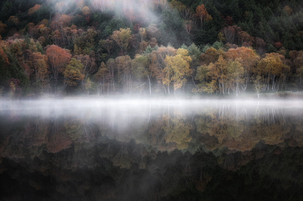The mystical pond in the autumn 3 von Daiki Suzuki