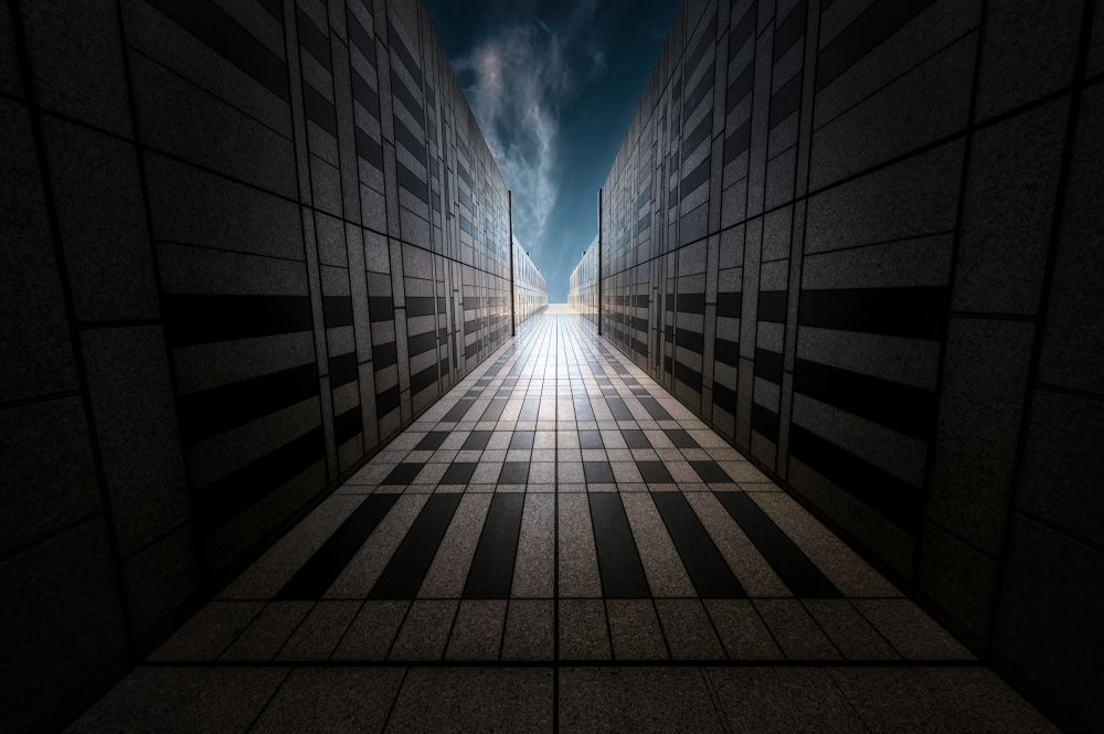 Shinjuku-1 von Daiki Suzuki