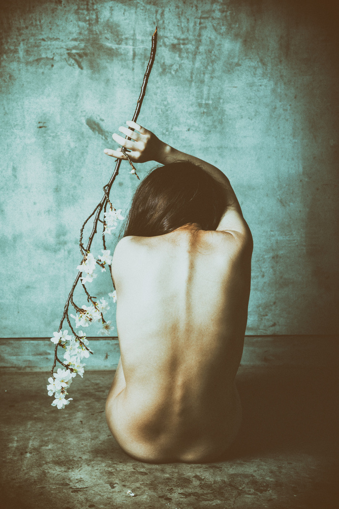 Spine von Daisuke Kiyota