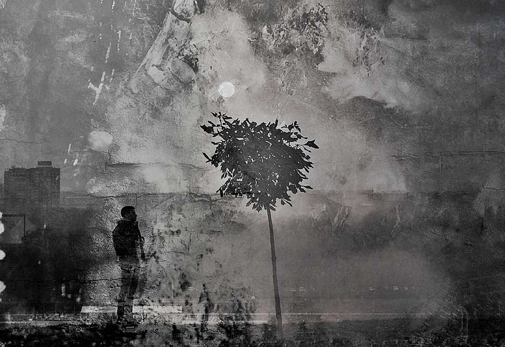 Schatten (Aufteilen) von Dalibor Davidovic