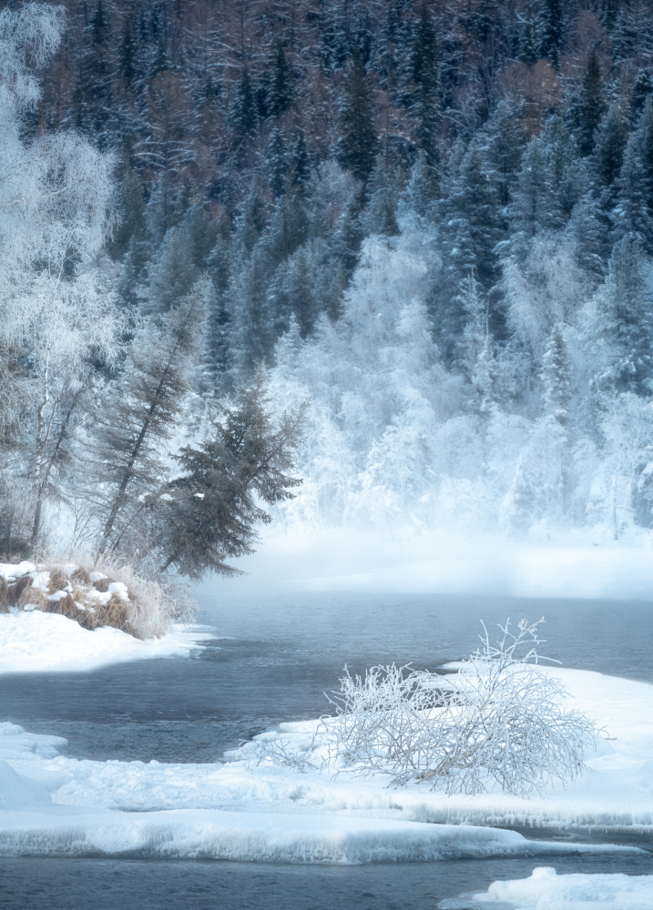 iceworld von Damon Hao