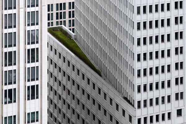 The green element von Dan Clausen Hansen