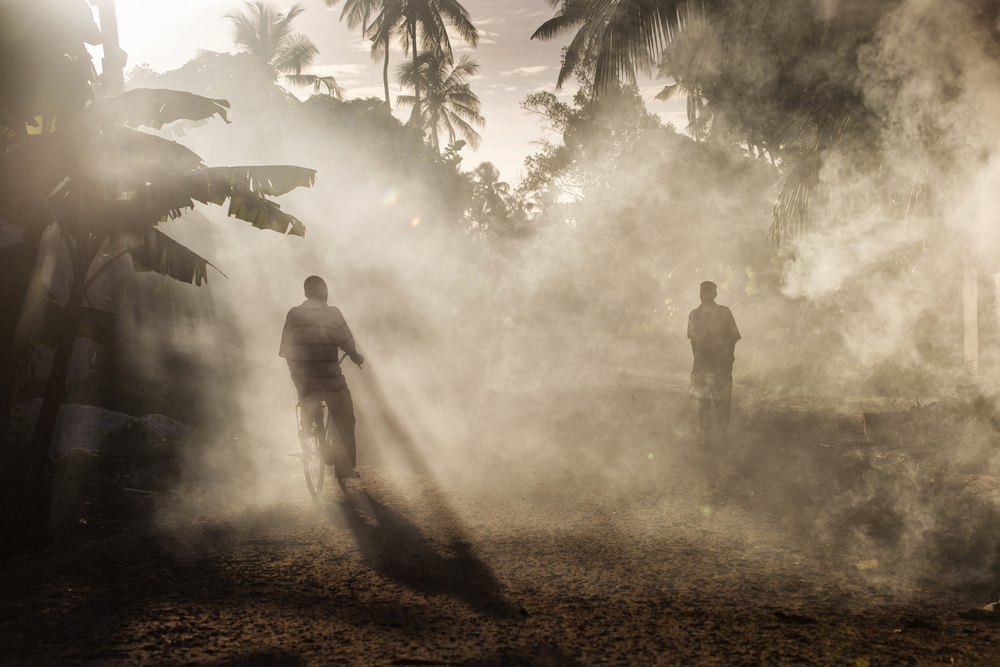 Bike in fog von Dan Mirica