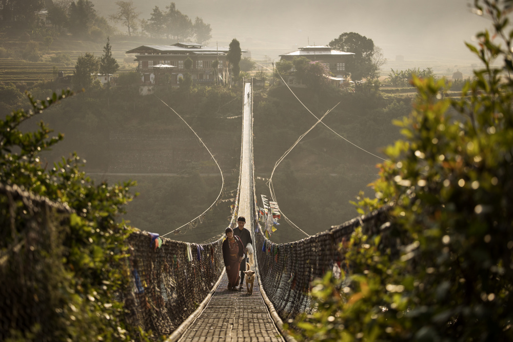 Phunakha Bridge, Bhutan von Dan Mirica