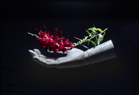 The Physiology of Touch / Flora 2