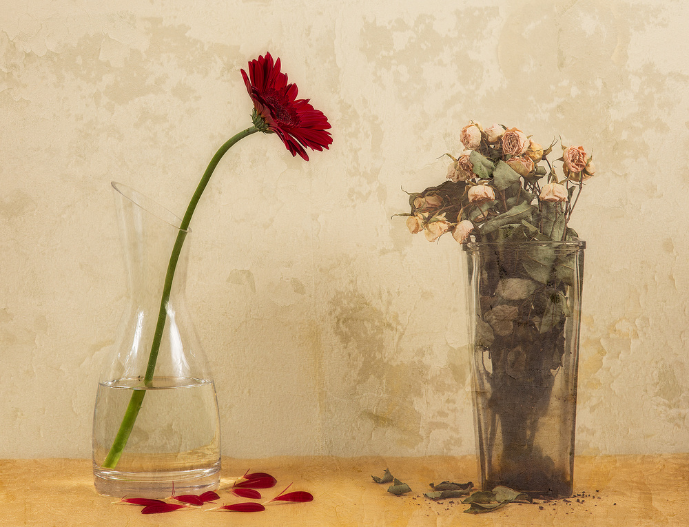 Upstairs, Downstairs von Dani BS.