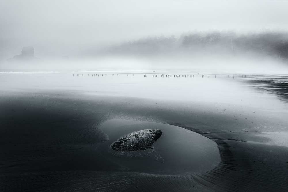 One Morning... von Dani BS.