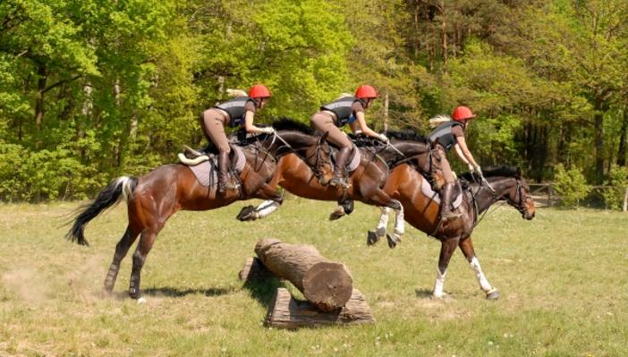 Springreiten von Daniel Bolloff