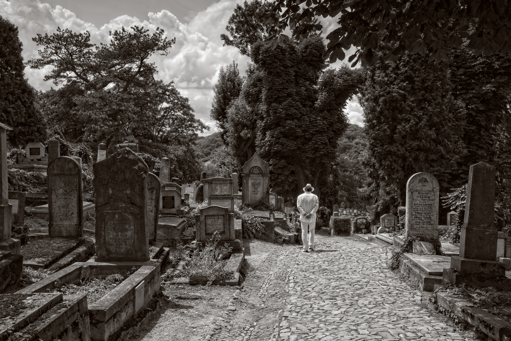 Daydreamer von Daniel De Cort