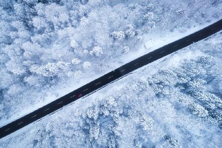 Driving in a Winter Wonderland