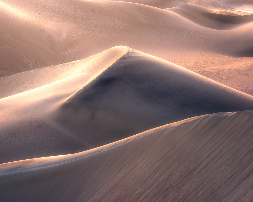 Golden Waves von Daniel Gastager