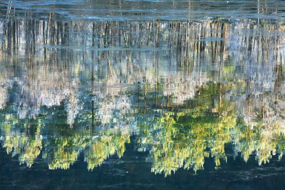 Reflected Artwork von Daniel Gastager