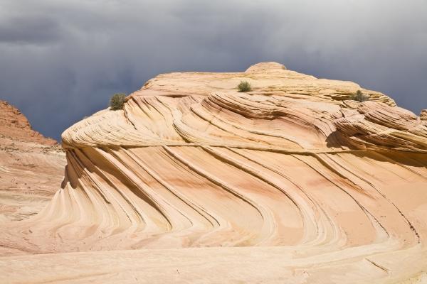 Second Wave von Daniel Haller