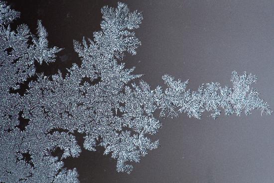 Eisblumen auf Fensterscheibe von Daniel Karmann